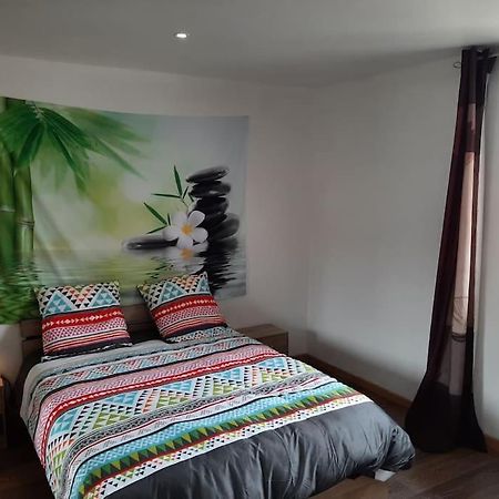 T3 Hyper-Centre Au Calme Tout Equipe Parking Prive Apartment Castres  Luaran gambar