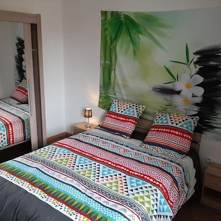 T3 Hyper-Centre Au Calme Tout Equipe Parking Prive Apartment Castres  Luaran gambar